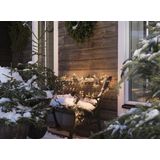 Konstsmide Micro LED Clustersnoer 576 Extra Warmwitte Lampjes met Afstandsbediening