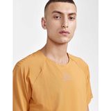 Craft Pro Trail T-shirt Met Korte Mouwen Oranje M Man