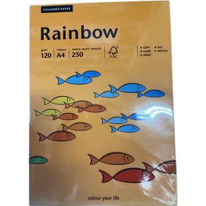 Papyrus Rainbow 120gram kl-24 oranje