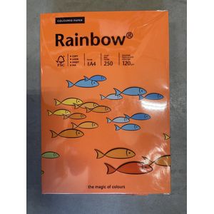 Papyrus Rainbow 120gram Kl-26 Intensief oranje