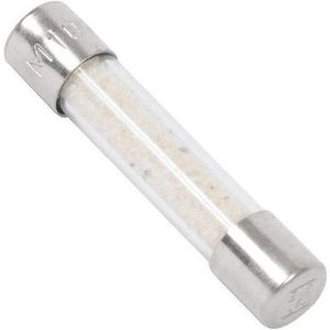 AEG - Magnetronzekering - 10 Amp