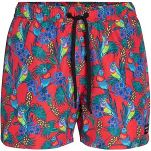 Bjorn Borg - Björn Borg Swimshort Sylvester - Rode Tropical Print - Polyester