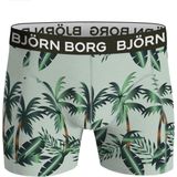 Björn Borg - Core - Boxershort - Multicolour - 3-pack