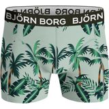 Björn Borg - Core - Boxershort - Multicolour - 3-pack