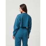 Björn Borg Sweater Blauw