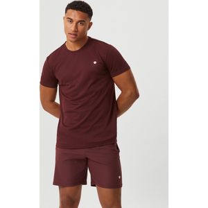 Bjorn Borg Ace T-shirt stripe, bruin