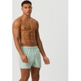 Borg Solid Swim Shorts