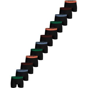 Bjorn Borg 12-pack heren boxershort - Winter Green - Multipack heren onderbroeken