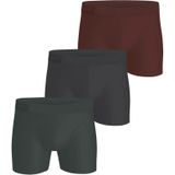 Bjorn Borg - Sports - Boxershort - Groen - 2-Pack - Lange Pijpjes