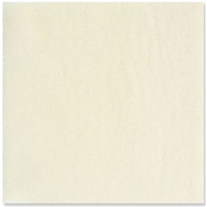 Exufiber - 15x15cm - 10 Stuks - Steriel Nonwoven Vezelverband