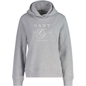 REG GRAPHIC HOODIE, lichtgrijs gem., M