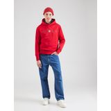 Gant Kapuzensweatshirt "GRAPHIC HOODIE"