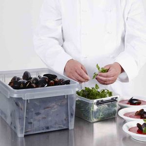 SmartStore - Dry 15 Opbergbox 12 liter - Polypropyleen - Grijs