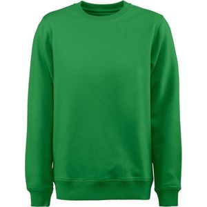 Printer SWEATSHIRT SOFTBALL RSX 2262048 - Frisgroen