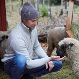 Ivanhoe - NLS Elm - Vest - Birch - 100% Natuurlijk Wol