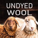 Ivanhoe trui NLS Holly Natural White Coll - zuivere ongeverfde wol