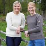 Ivanhoe trui NLS Petal Coffee Bean ronde hals - zuivere ongeverfde wol