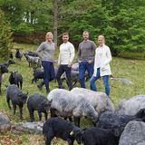 Ivanhoe - NLS Petal - Gebreide Trui - Nutmeg - 100% Ongeverfde Wol