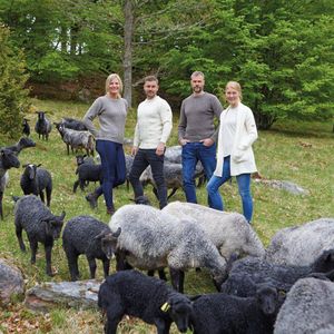 Ivanhoe Pullover NLS Petal Coffee Bean Herren-100% reine ungefärbte Wolle
