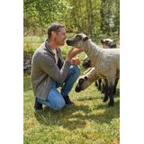 Ivanhoe NLS Sap Full Zip - Birch - Vest - 100% Natuurlijk Wol