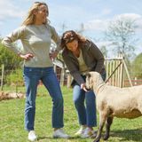 Ivanhoe - NLS Tunabo - Gebreide Trui - Natural White - 100% Zuivere Ongeverfde Wol