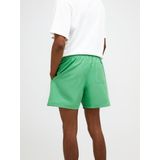 Peak Performance - Swim Shorts - Peppermint - Polyester