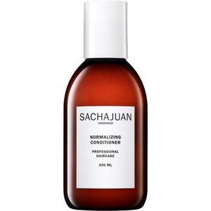 Normalizing Conditioner