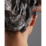 REF - Weightless Volume Shampoo - Verzorgend - Vrij van Parabenen en Sulfaten