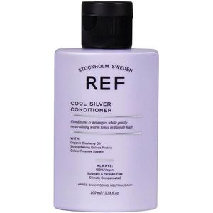 Cool Silver Conditioner