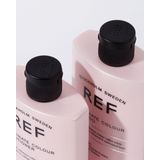 REF Stockholm - Illuminate Colour Conditioner Ieder Haartype - 245ml