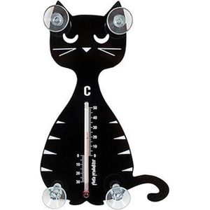 Pluto Thermometer Dodgy Cat