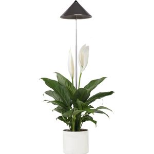 Parus by Venso Sunlite Kweeklamp - 7 W - Grijs