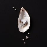 Sudio - N3 Pro - Draadloze Bluetooth Oordopjes - Wit - Actieve Ruisonderdrukking