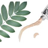 Suntribe - Mineral Day Cream - Gezichtscrème - SPF 20 - 50 ml