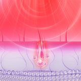 Foreo - Luna™ 4 - Hoofdhuidborstel - Paars - Siliconen - 1 st