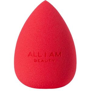 All I Am Blending Sponge
