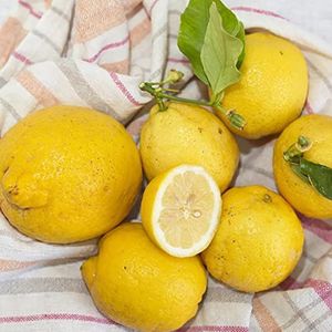 Haloppe 10 stks citroenboom fruit zaden voor thuis tuin planten, citroenboom zaad gezond citroen fruit zaad voor tuin Citroenboomzaden
