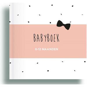 Baby invulboek roze - Babydagboek eerste jaar - Mijn eerste jaar boek roze - Baby's eerste jaar - Babyboek eerste jaar - Baby dagboek roze - Invulboek baby - Baby's eerste jaar invulboek meisje - Baby eerste jaar - Geboorteboek meisje - Zebrapaardje