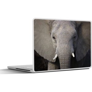 Laptop sticker - 12.3 inch - Close-up van een olifant
