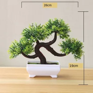 Bonsai boompje kopen - online kopen? | Korting tot 20% | beslist.be