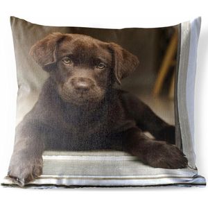 Buitenkussens - Tuin - Schattige Labrador Retriever die in de camera kijkt - 45x45 cm
