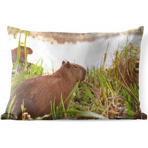 Sierkussen Capibara voor buiten - Een Capibara tussen het hoge riet - 60x40 cm - rechthoekig weerbestendig tuinkussen / tuinmeubelkussen van polyester