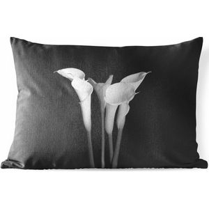 Sierkussen Planten op een zwarte achtergrond voor buiten - Een close up van calla lily-bloemen op een zwarte achtergrond - 60x40 cm - rechthoekig weerbestendig tuinkussen / tuinmeubelkussen van polyester