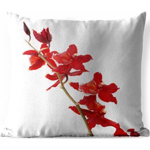Buitenkussens - Tuin - Rode orchideeën voor een witte achtergrond - 60x60 cm