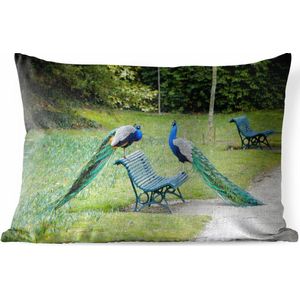 Buitenkussens - Tuin - Twee pauwen op een bankje - 50x30 cm