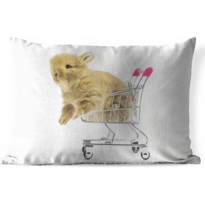 Buitenkussens - Tuin - Baby konijn in een winkelwagen - 60x40 cm
