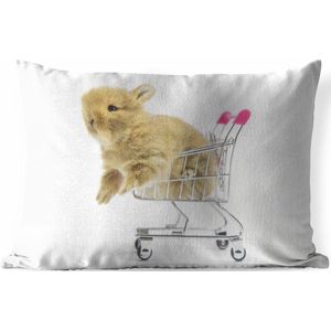 Buitenkussens - Tuin - Baby konijn in een winkelwagen - 50x30 cm