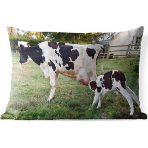 Sierkussen Friese koe voor buiten - Een zwart-witte Friese koe met een kalf - 50x30 cm - rechthoekig weerbestendig tuinkussen / tuinmeubelkussen van polyester