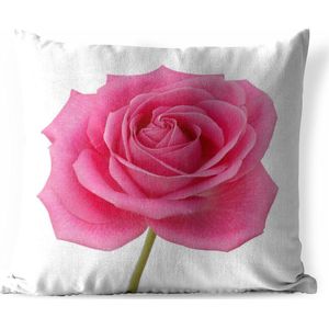 Sierkussen Roze roos voor buiten - Close-up van enkele roze roos op witte achtergrond - 60x60 cm - vierkant weerbestendig tuinkussen / tuinmeubelkussen van polyester