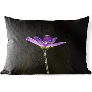 Buitenkussens - Tuin - Een paarse geranium op een zwarte achtergrond - 60x40 cm